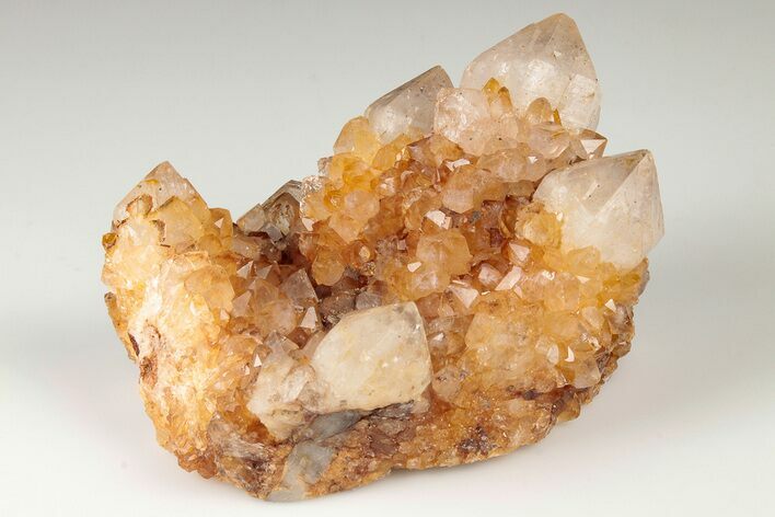 Sunshine Cactus Quartz Crystal Cluster - South Africa #191797